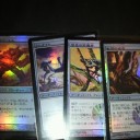 引き取り手募集２