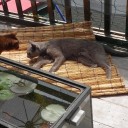 １人ぐんにゃりと過ごす満月の夜　“ドキがムネムネする夜更け”　の巻