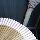 日傘の季節