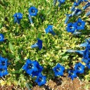 2011年5月25日（水）