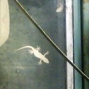 速報！　“オカアサンの涙目日記（仮）”　の巻　