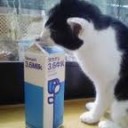 げんしりょくはつでんしょのじこさえなければ・・・
