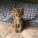 おちこみ・・・・