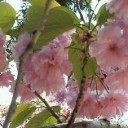[etc] 20110528