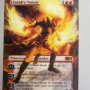 拡張アート《チャンドラ・ナラー/Chandra Nalaar》。