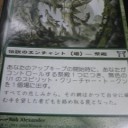 エラーカード(6/3)