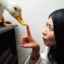 （＞ ＜）ひーーーん【アヒルになりたいろせ】