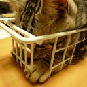 ぎゅうぎゅう