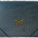 ポケモンギャラリークリアファイル