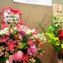 今日は追っかけ