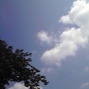 梅雨を感じない