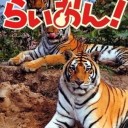 6月6日の日記