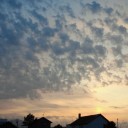 2011年6月7日（火）