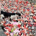 6月7日の日記