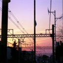 　冬の情景