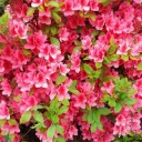 2011年6月9日（木）