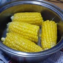 6月10日の日記