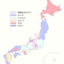 のどか｢私、消毒液とバンソーコ持ってます｣