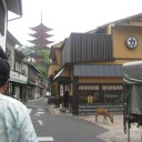 広島・青春回帰＆旨いもの旅行  二日目　お散歩編