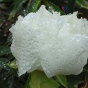 2011年6月13日（月）