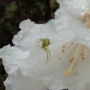 2011年6月13日（月）