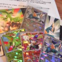 バトル激強化キャンペーンカード到着　＆　少し宣伝