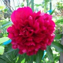 2011年6月15日（水）