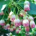 2011年6月15日（水）