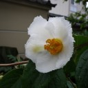 諸々の話（6/19）