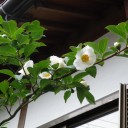 諸々の話（6/19）
