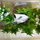 拉致監禁　“「オカアサン毎日楽しそうだね～」と言わないで”　の巻