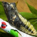 拉致監禁２日目　“オカアサンそわそわする”　の巻