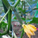 2011年6月21日（火）