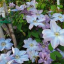2011年6月21日（火）