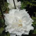 2011年6月21日（火）