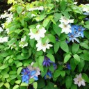 2011年6月22日（水）