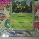 CDげっとん