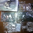 嗚呼、斑鳩が行く・・・・・・