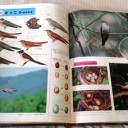 匂いフェチと呼ばないで　“脳が沸騰２秒前”　の巻