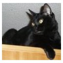 くろねこ・・・・