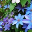 2011年6月24日（金）