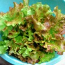 2011年6月27日（月）
