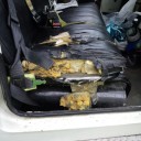 待てば海路の日和あり　“僕たちは進む、僕たちの進度で”編