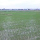 ６月３０日