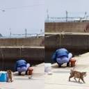 6月30日の日記