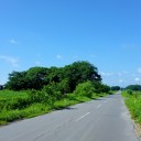 風が心地よい季節
