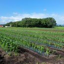 風が心地よい季節