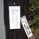 HSレガシで惨敗と今日1日のレポ