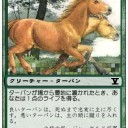 わたしの愛馬は凶暴です。