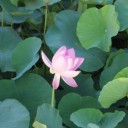 7月10日の日記
